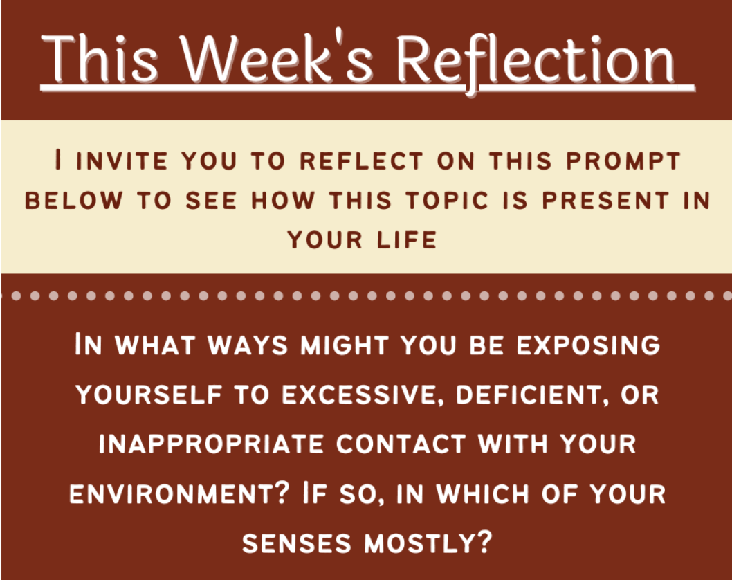 This Week’s Reflection on Improper contact of your senses with their environment