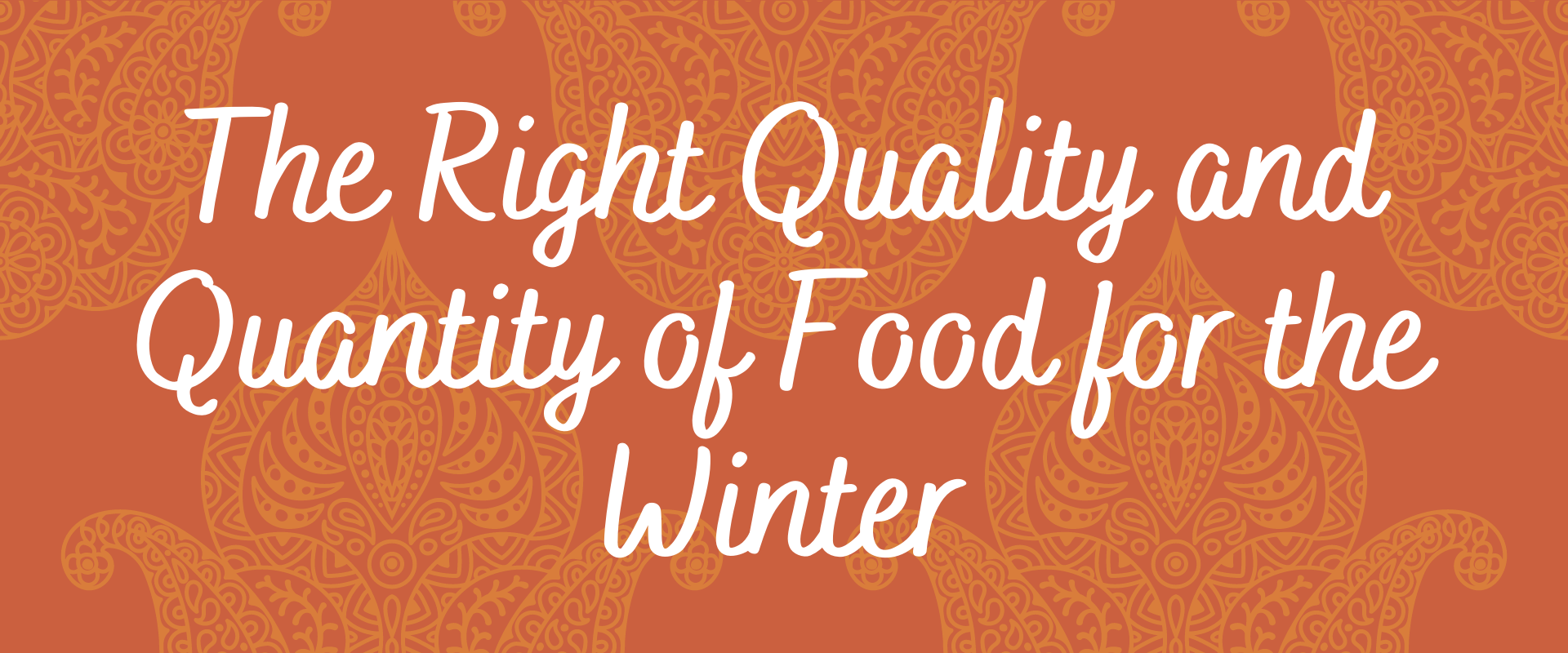The Right Quality & Quantity of Food For the Winter